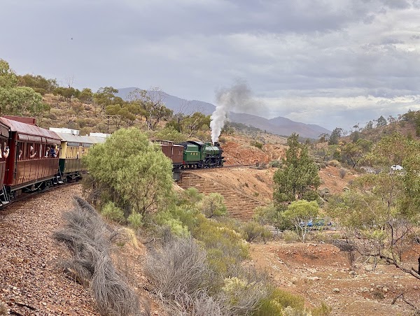 Pichi Richi Railway 1