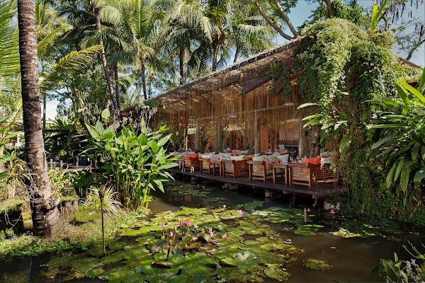 Manda de Laos 3