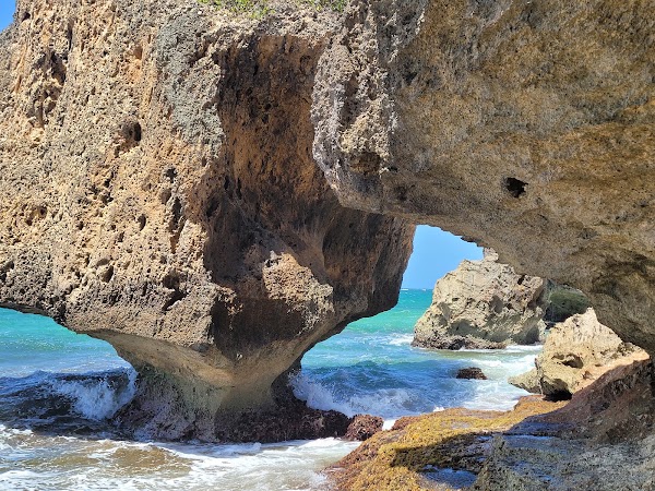 Survival Beach 5