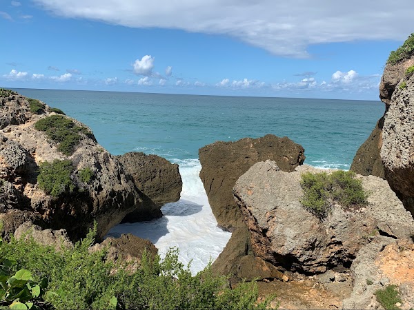 Survival Beach 4