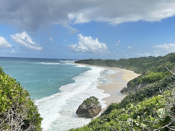 Survival Beach 3