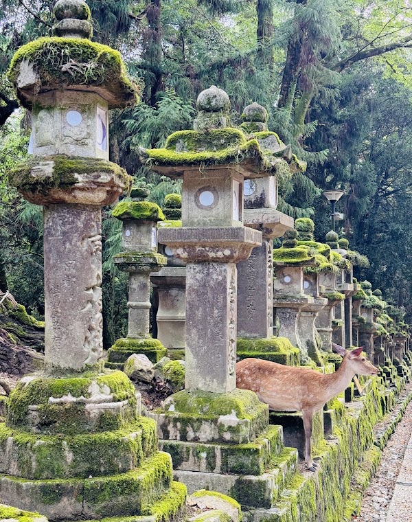 Meoto Daikokusha 4