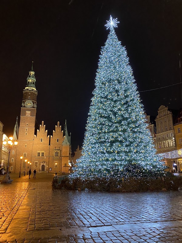 Wroclaw Old Town Hall 3