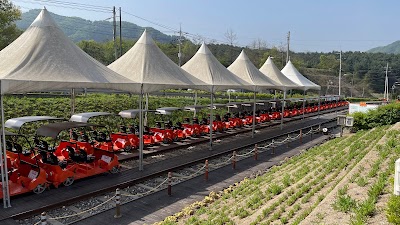 Gangchon Rail Park 1