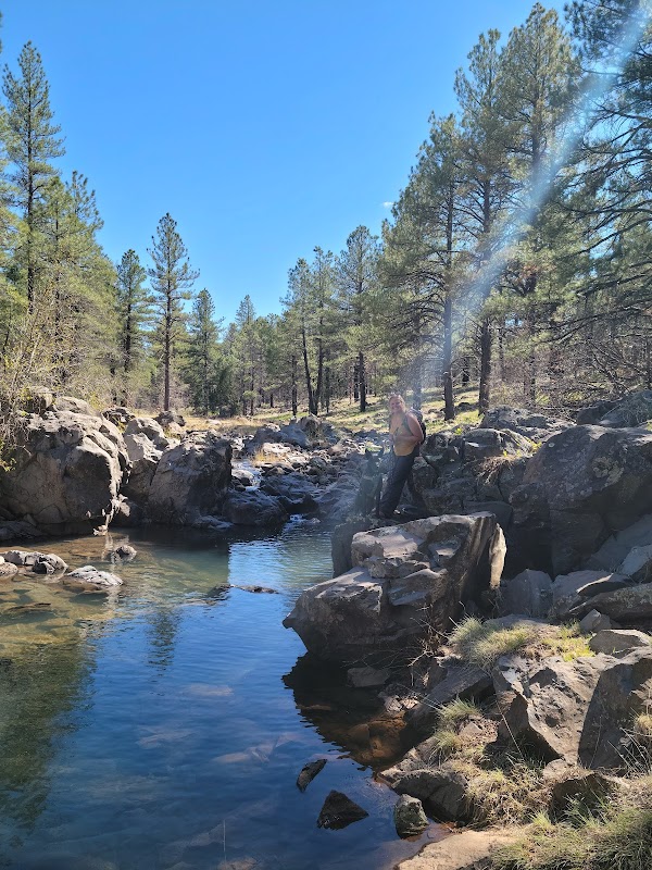 Sycamore Falls 3