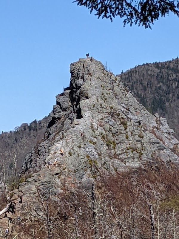 Chimney Tops Trail 5