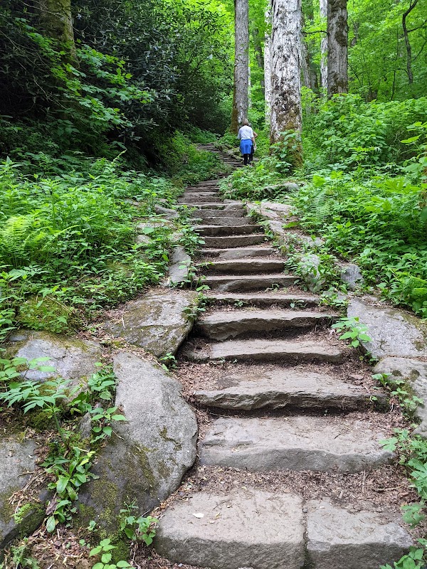 Chimney Tops Trail 4
