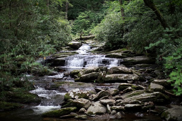 Chimney Tops Trail 2
