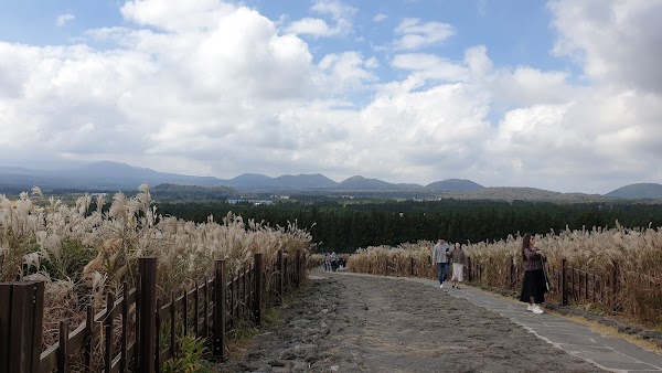 Sangumburi 4