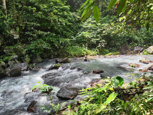 Aling-Aling Waterfall 2