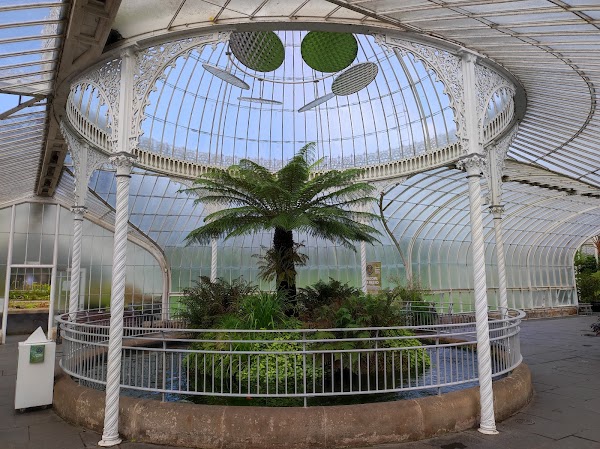 Glasgow Botanic Gardens 4