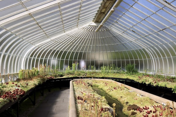 Glasgow Botanic Gardens 3