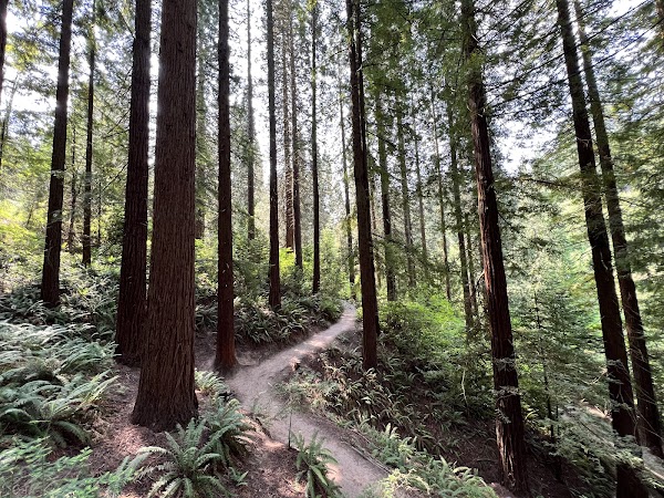 Hoyt Arboretum