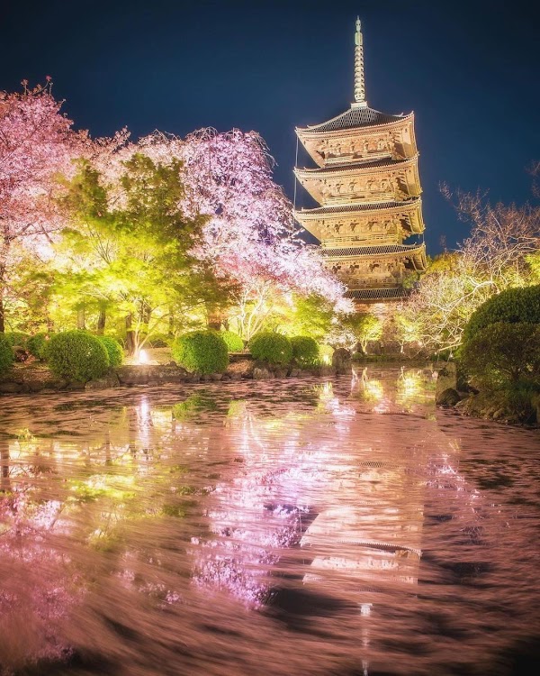 Kyoto 5