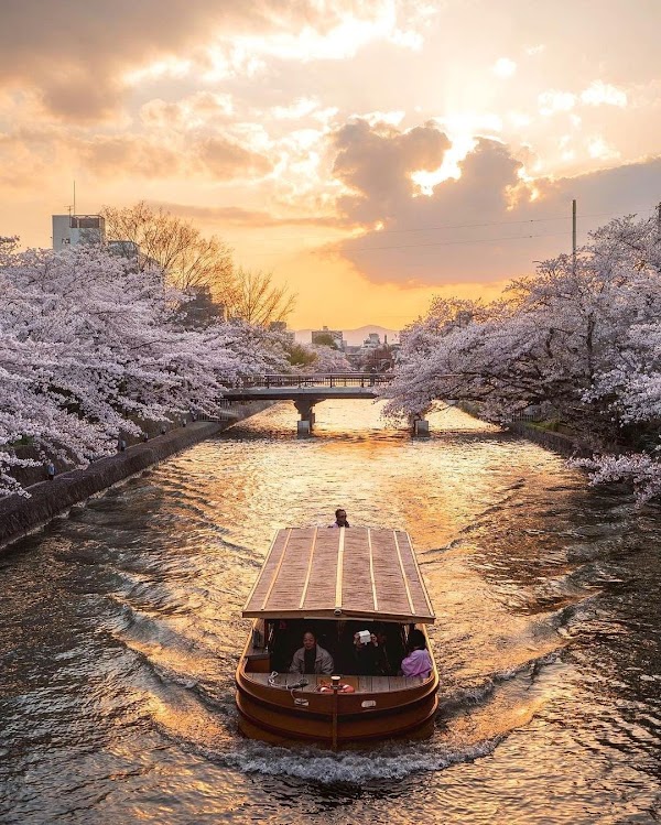 Kyoto 2
