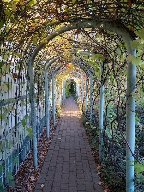 Warsaw University Library Garden 5