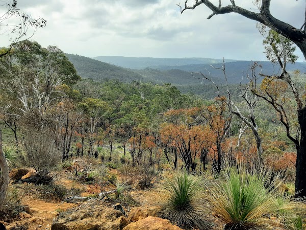 Kalamunda National Park 5