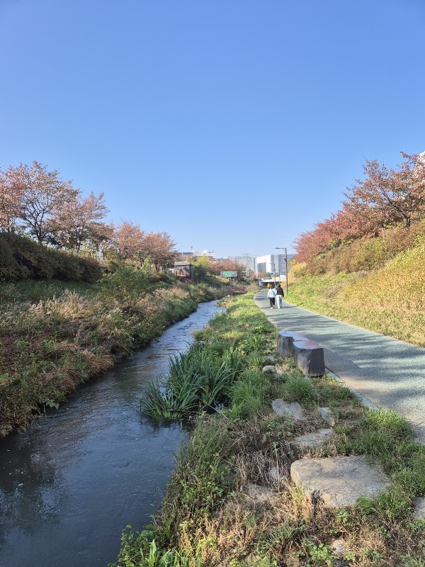 Jangjicheon 1