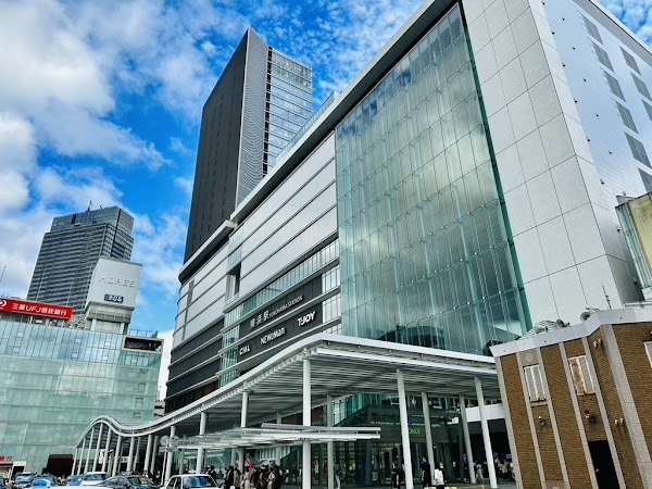 Yokohama Station 2