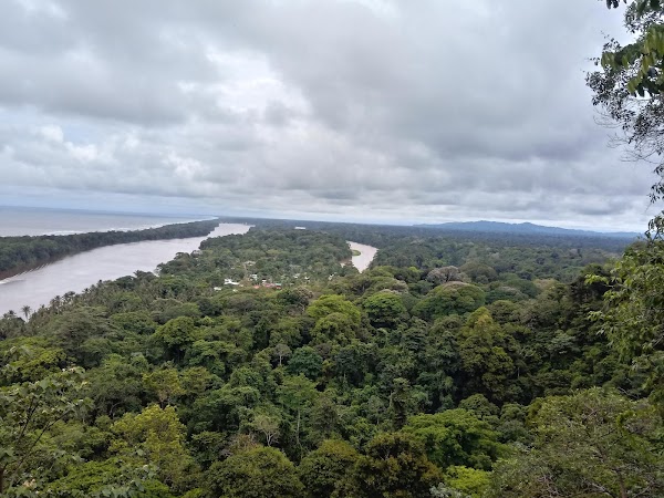 Sendero Cerro Tortuguero