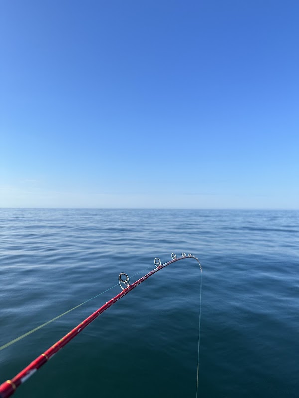 Katsuura Bay 1