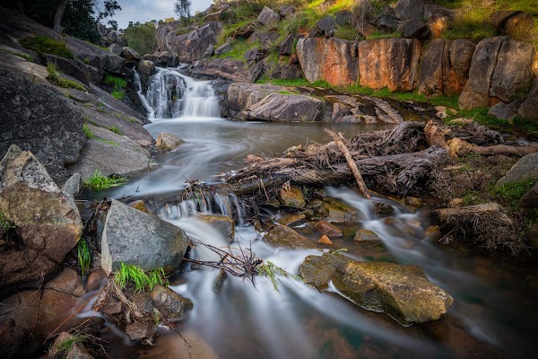 Nyaania Creek Reserve 1