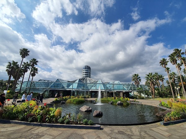 Yeomiji Botanical Garden 5