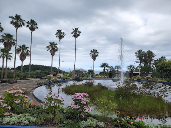 Yeomiji Botanical Garden 4