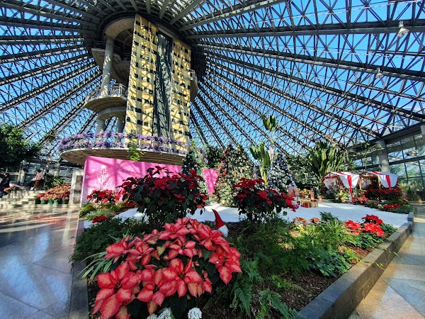 Yeomiji Botanical Garden 3