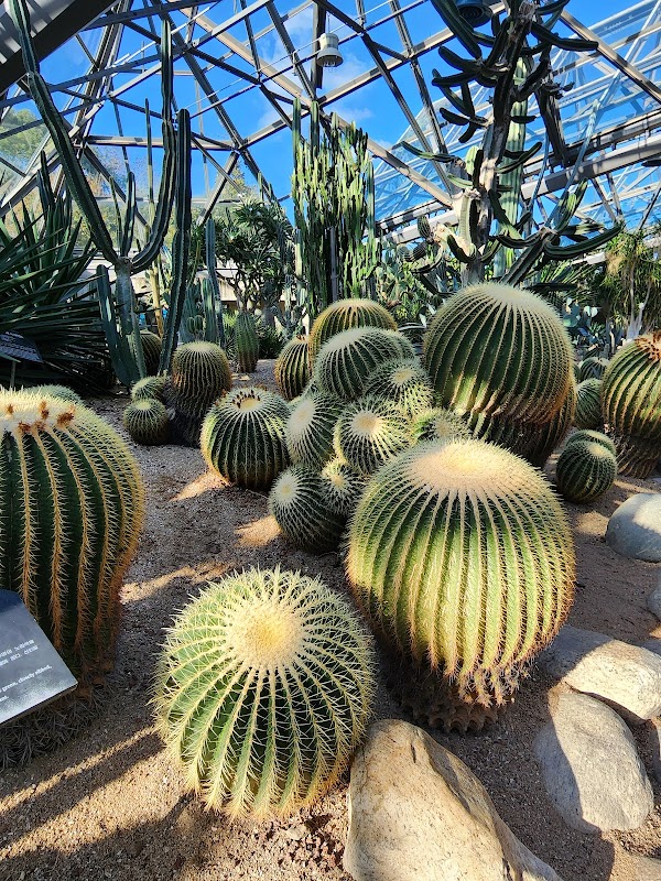 Yeomiji Botanical Garden 2