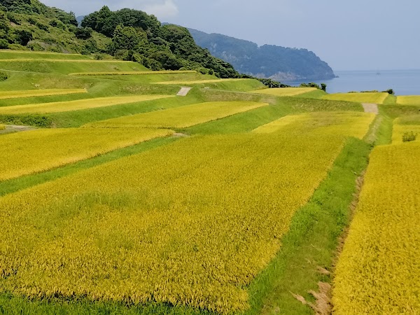 Nii Rice Terraces