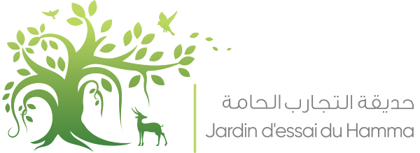 Botanical Garden Hamma