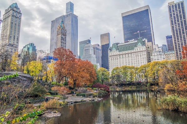 New York 6