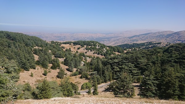 Shouf Biosphere Reserve Barouk Cedar Forest