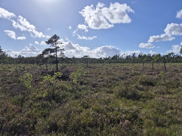 Fjällmossens naturreservat 1