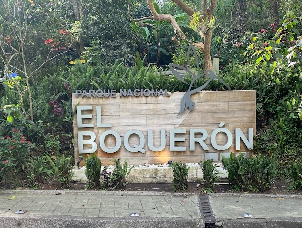 El Boqueron National Park 4