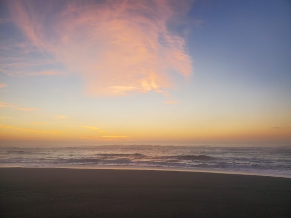 Gold Bluffs Beach 2