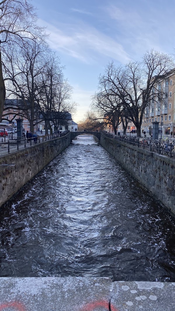 Sweden 5