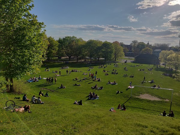 Christie Pits Park