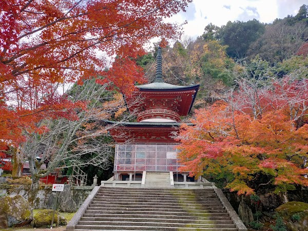 Hōrin-ji Temple 5