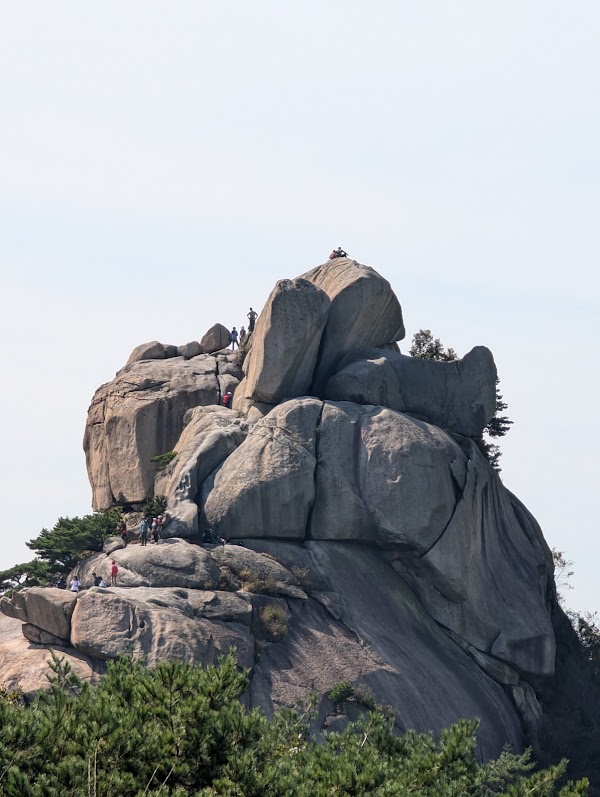 Samobawi Rock 5