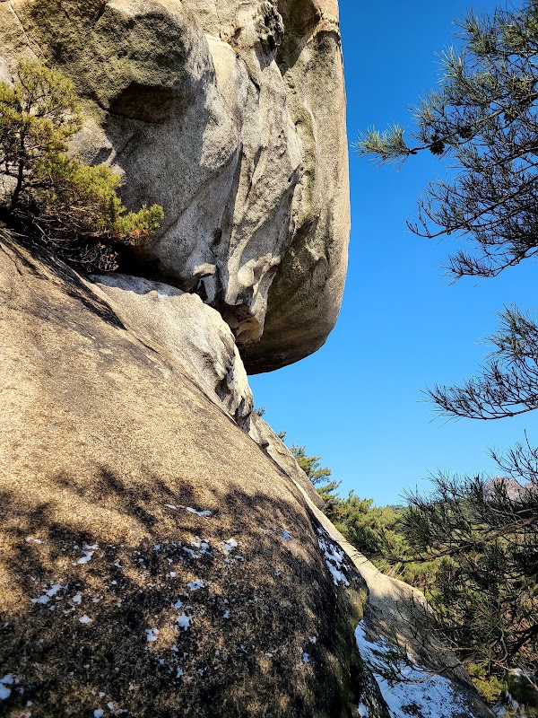 Samobawi Rock 4