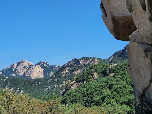 Samobawi Rock 3