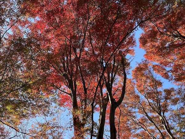 Shishimai-ga-yatsu Valley