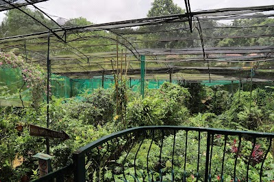Kuala Lumpur Butterfly Park