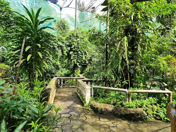 Kuala Lumpur Butterfly Park 5