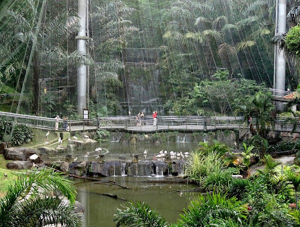 Kuala Lumpur Butterfly Park 2