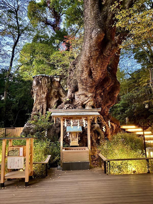 Kinomiya Shrine 2