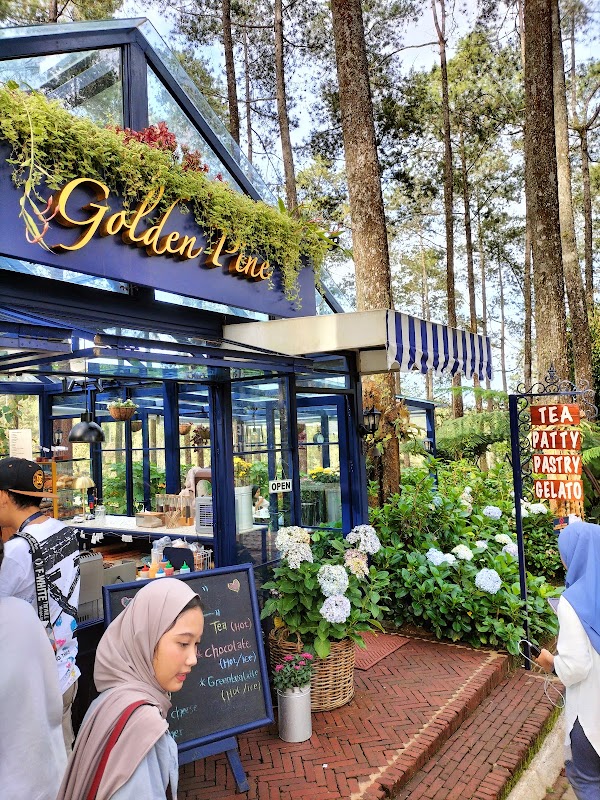 Golden Pine 1