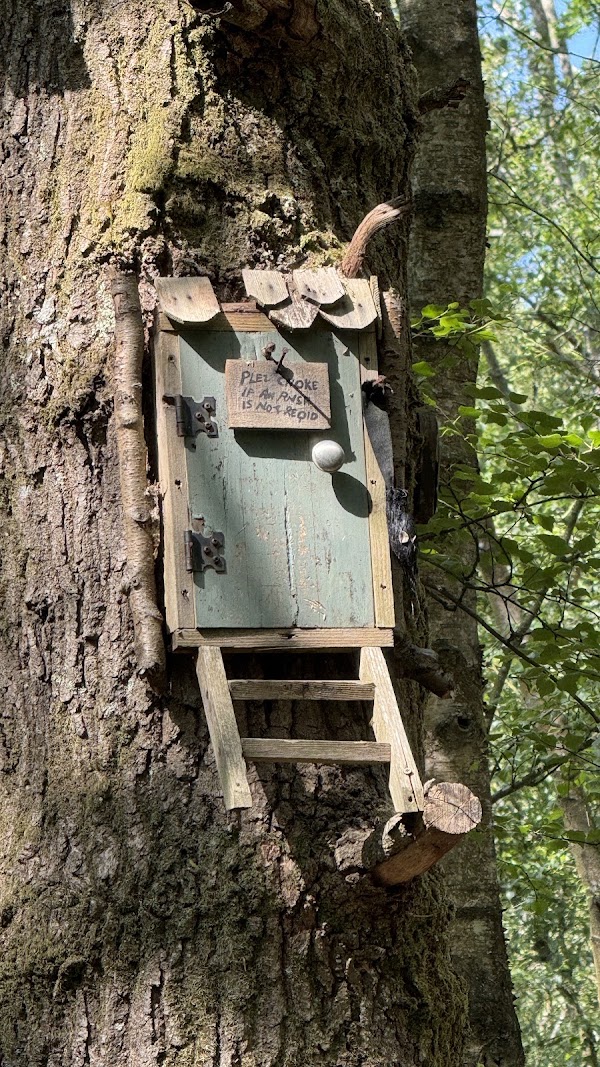 Owl’s House